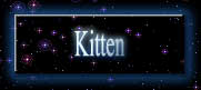 Kitten