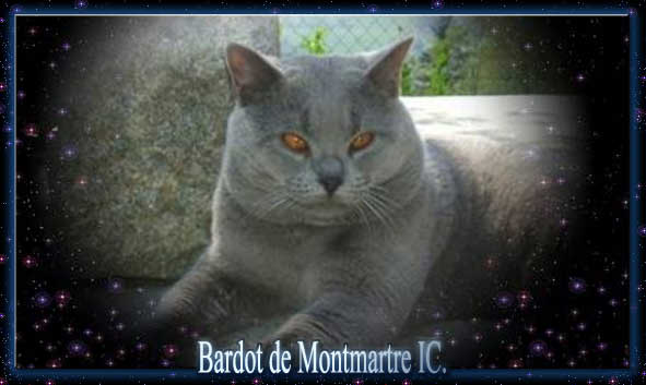 Bardot de Montmartre IC.